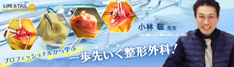 バナー3