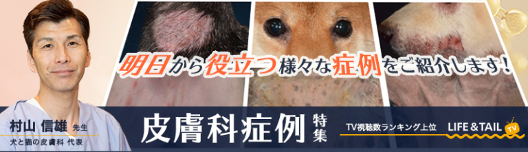 バナー4
