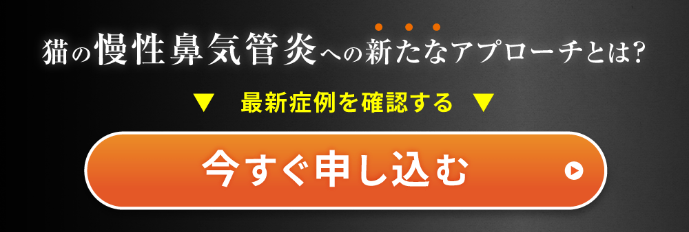 今すぐ申し込む