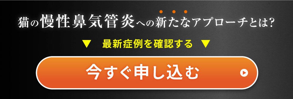 今すぐ申し込む