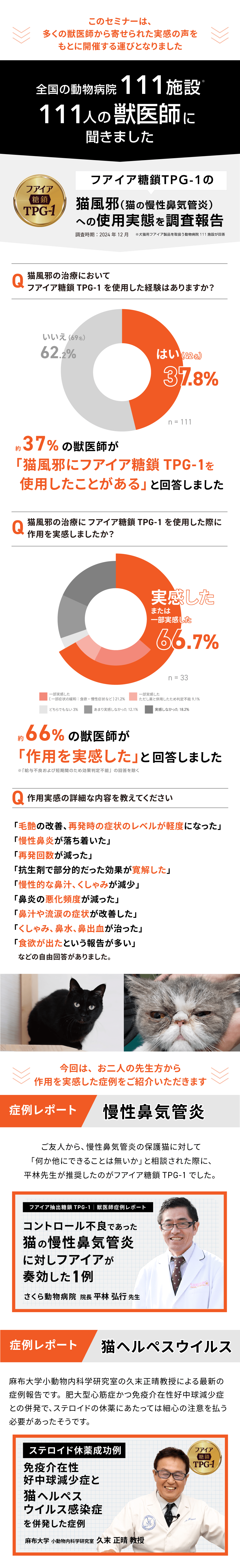 猫風邪（猫の慢性鼻気管炎）への使用実態を調査報告