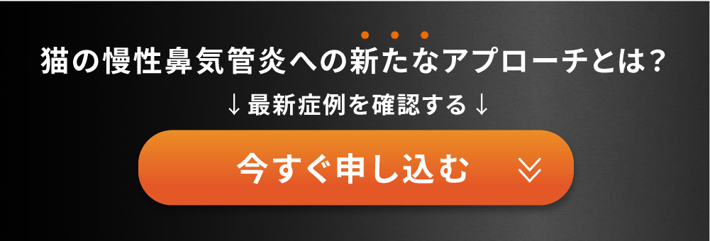 今すぐ申し込む