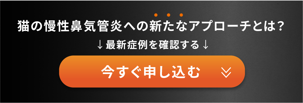 今すぐ申し込む